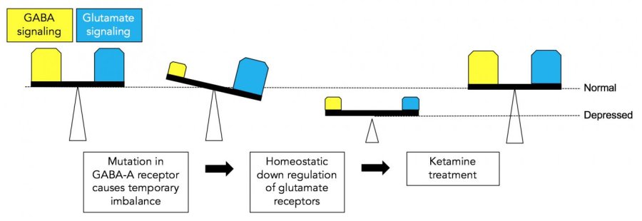 How Depression and Antidepressant Drugs Work