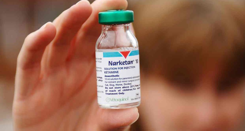 Intravenous Ketamine May Rapidly Reduce Suicidal Thinking in Depressed Patients