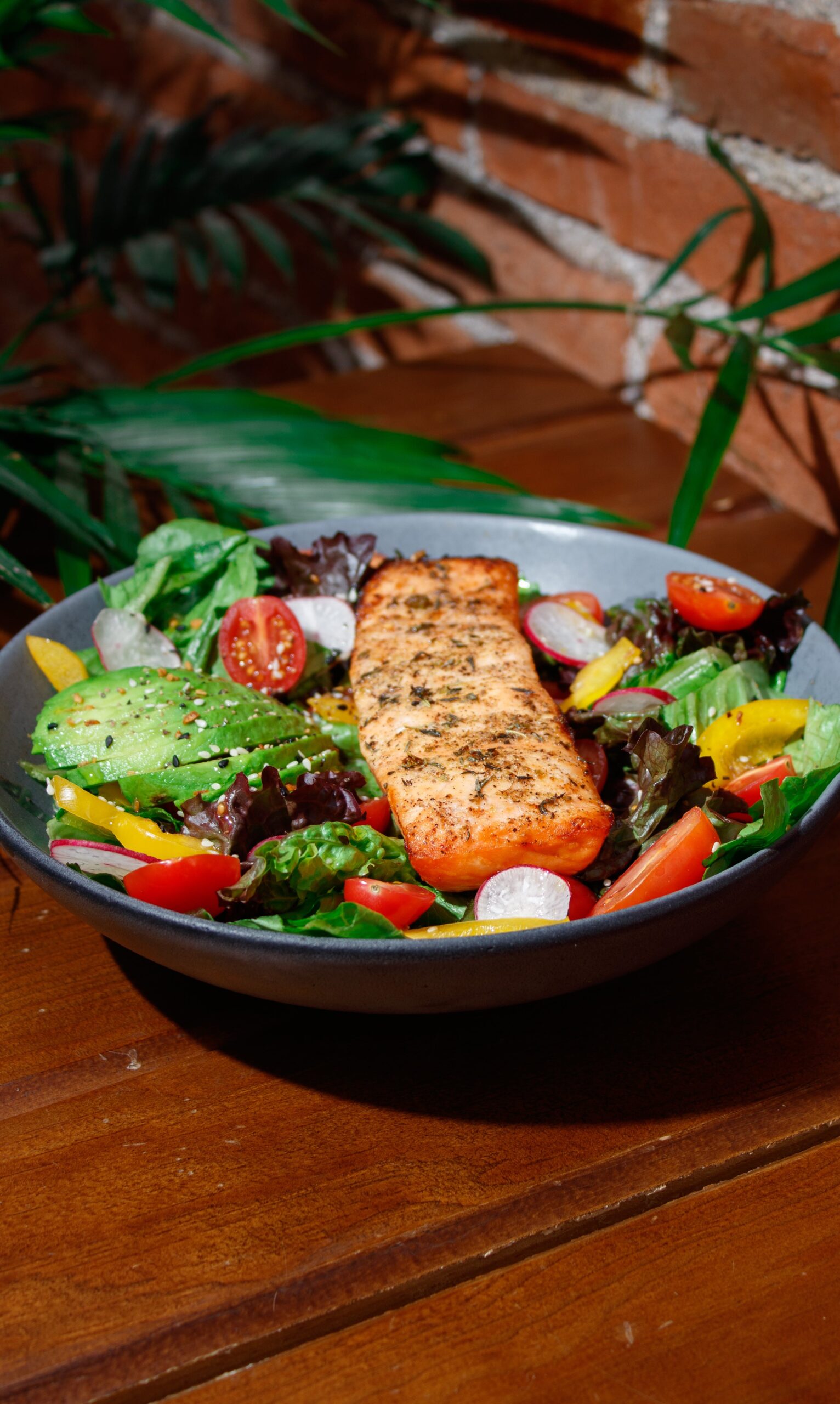 Salmon and avocados are part of a ketogenic diet to heal your brain.